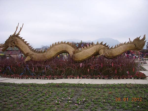 DSCN7343.JPG