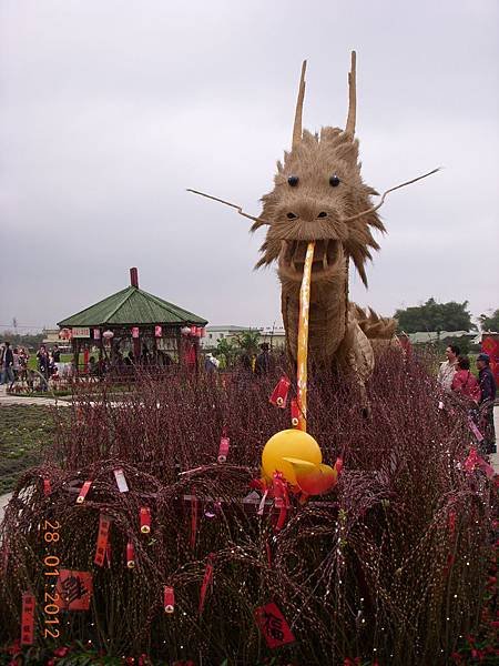 DSCN7294.JPG