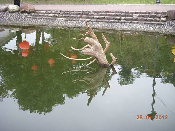 DSCN7271.JPG