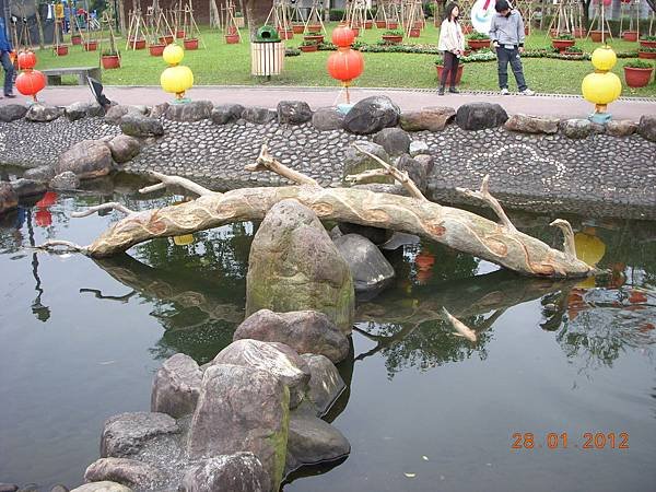 DSCN7270.JPG