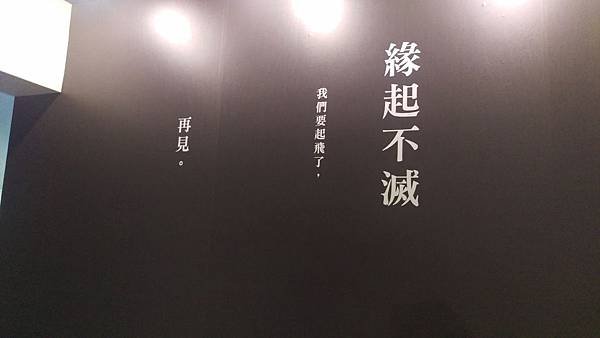 IMAG0878
