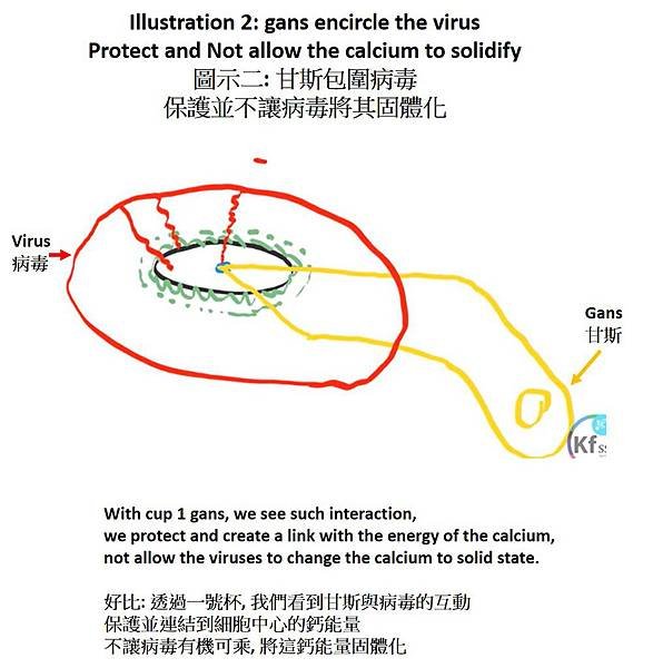 (第二張圖) 甘斯包圍病毒.jpg