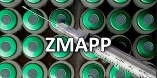 zmapp