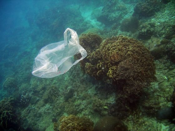 海域漂流的塑膠垃圾