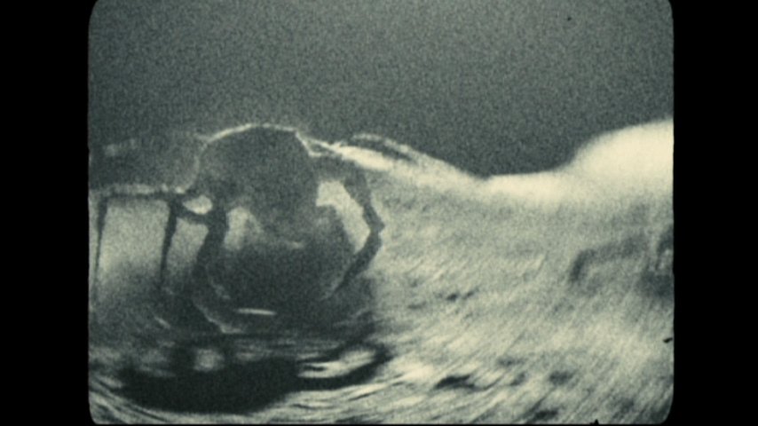 Apollo18bigcrab