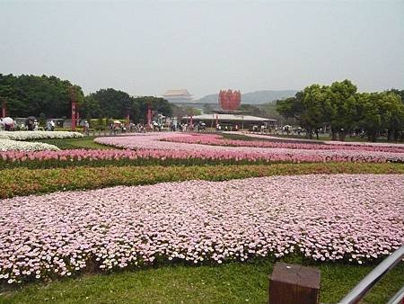 P1110100.JPG