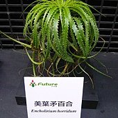 P1100923.JPG