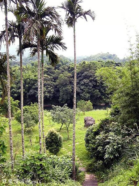 軟橋段生態公園