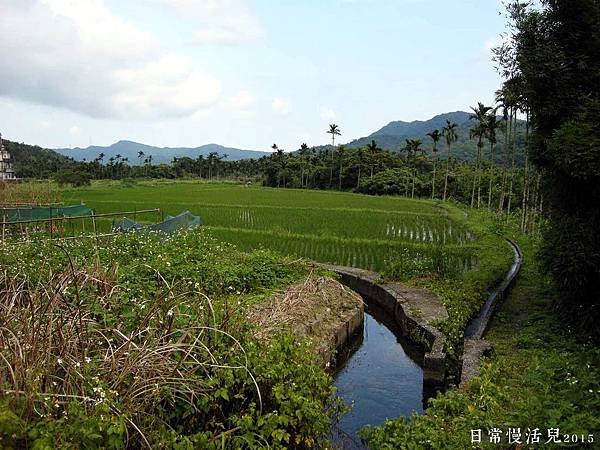 軟橋段生態公園旁田園風光