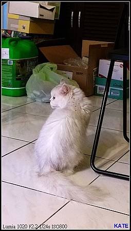 nEO_IMG_台中28.jpg