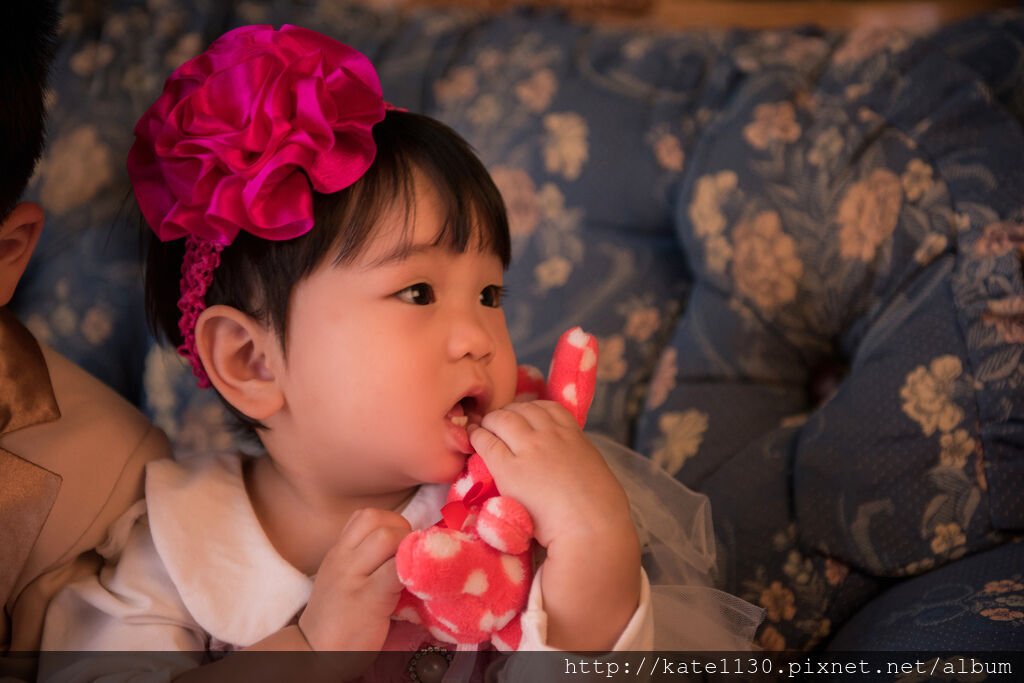 DSC_8096.jpg