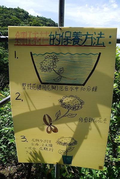 P1050403.JPG