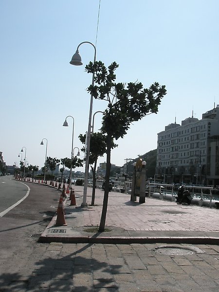 PC030455.JPG