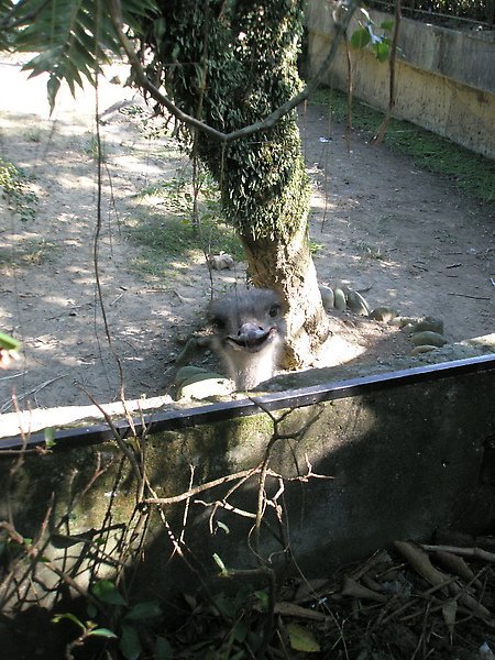 PC070640.jpg