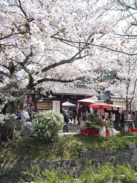 20110410  哲學之道&amp;白川 133.JPG