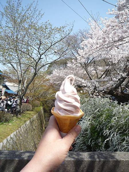 20110410  哲學之道&amp;白川 157.JPG