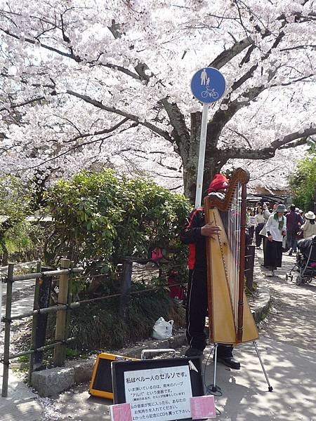 20110410  哲學之道&amp;白川 167.JPG