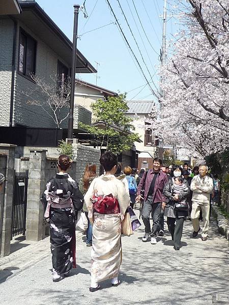 20110410  哲學之道&amp;白川 166.JPG