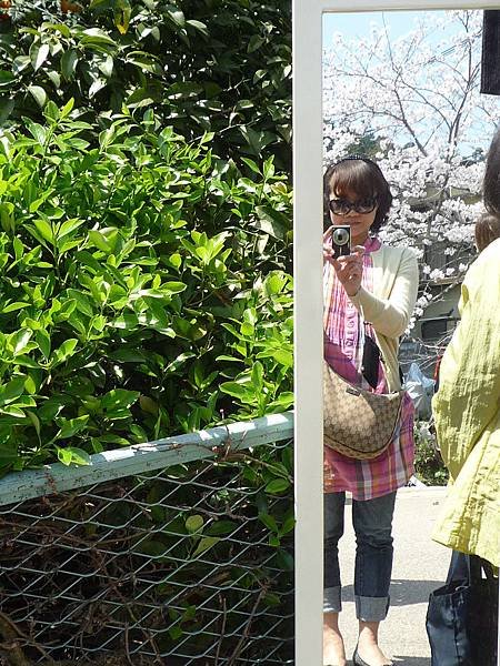 20110410  哲學之道&amp;白川 152.JPG
