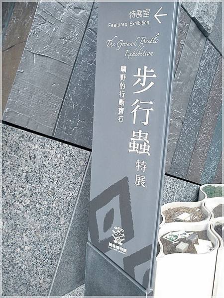 DSC00053.jpg