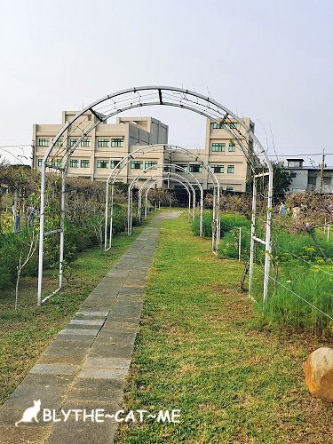 紫藤咖啡園 (53).jpg