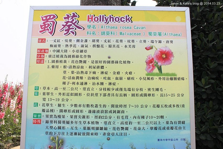 照片 906.jpg