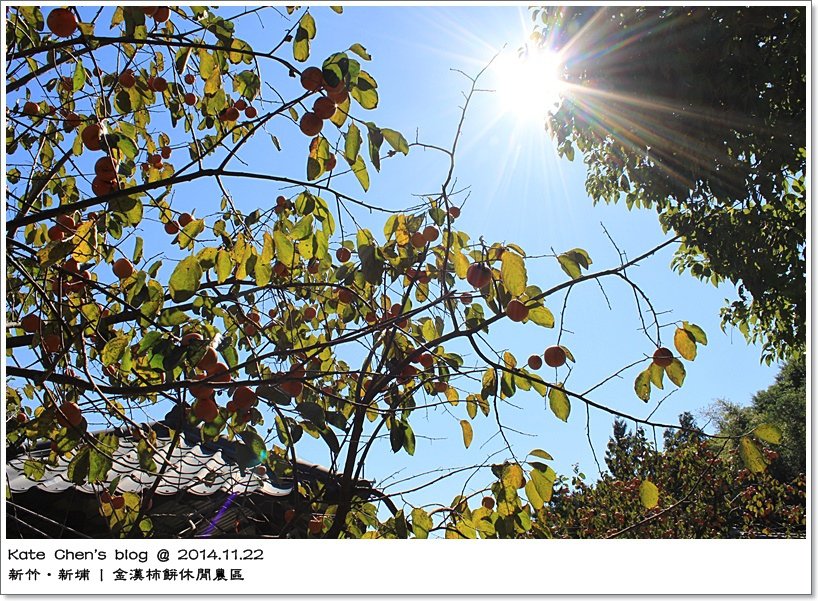 照片 4398.jpg