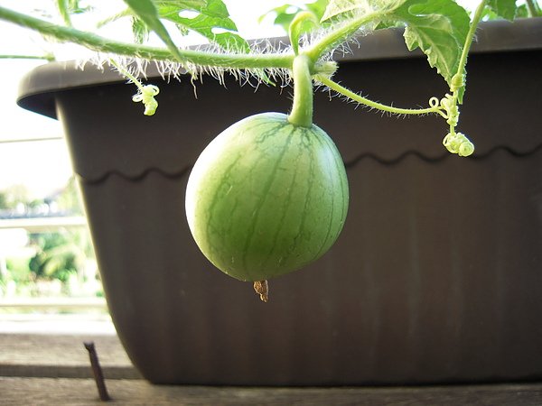 DSCN3810.JPG