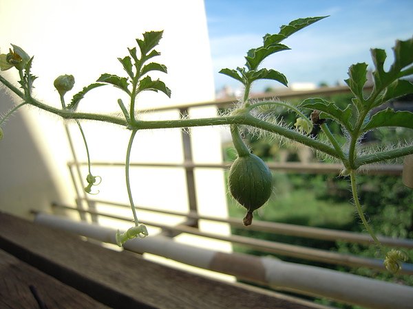DSCN3809.JPG