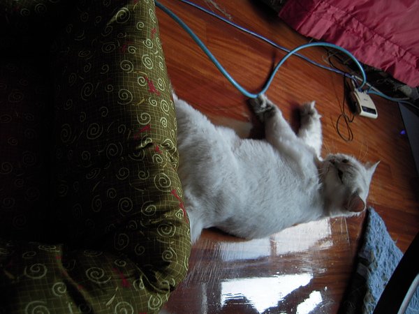DSCN3825.JPG