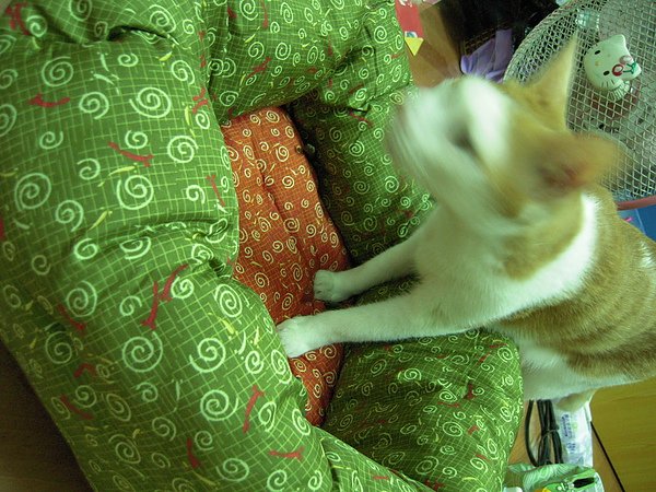 DSCN3827.JPG
