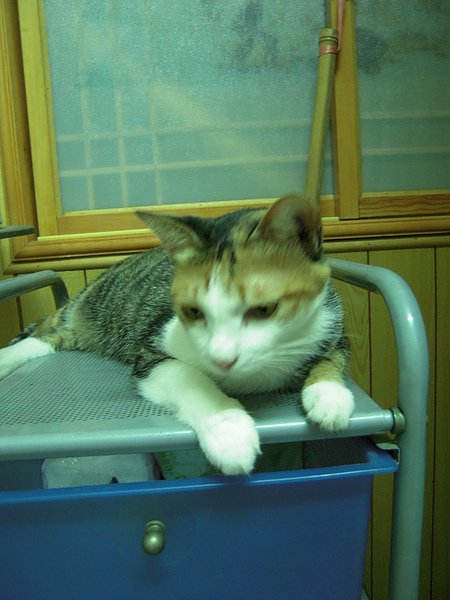 DSCN3828.JPG