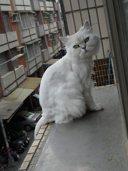 DSCN3639.JPG