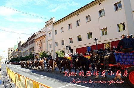 DSC_9195-1_resize-1.jpg