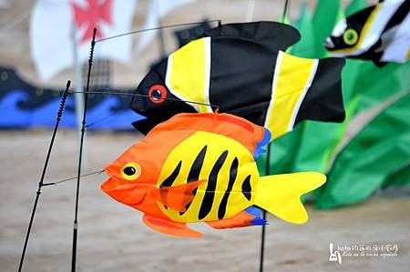 DSC_8619-1_resize