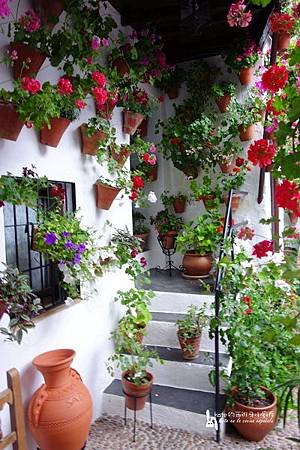 DSC05274-1_resize.jpg