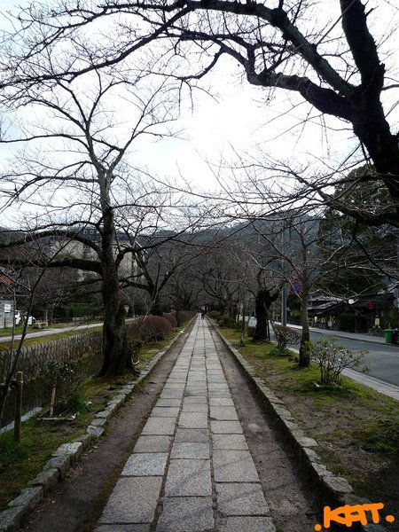 哲學0.jpg