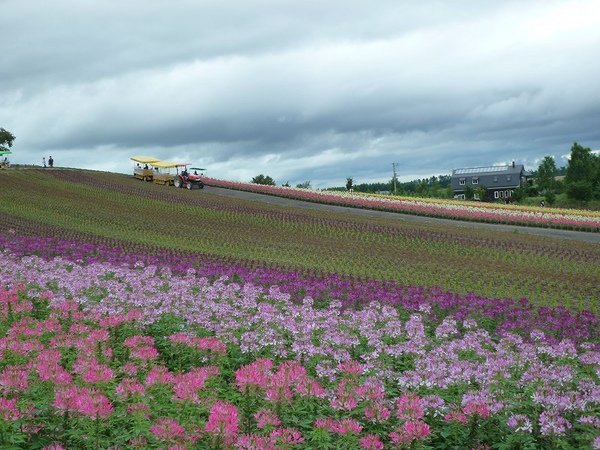 hokkaido 11.jpg
