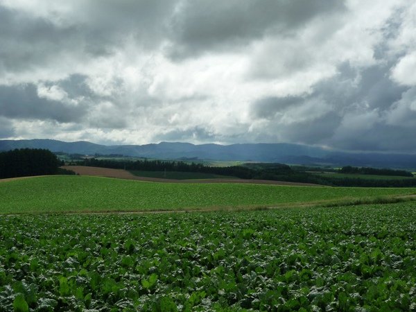 hokkaido 17.jpg