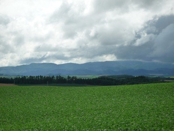 hokkaido 18.jpg