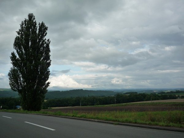 hokkaido 20.jpg