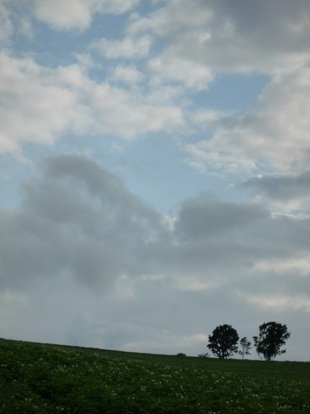 hokkaido 23.jpg