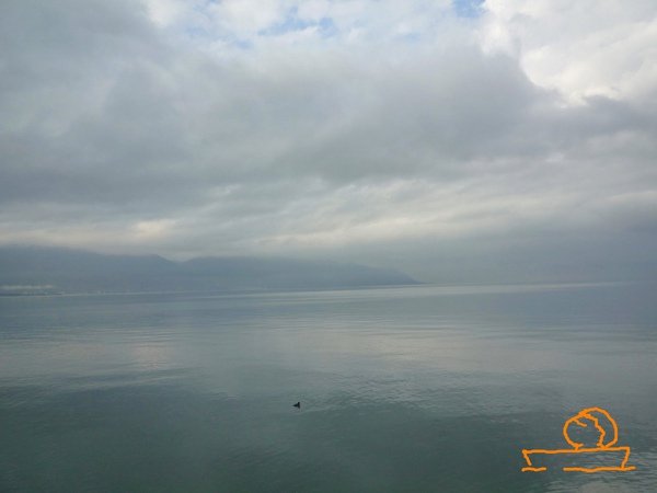 Montreux_2.jpg