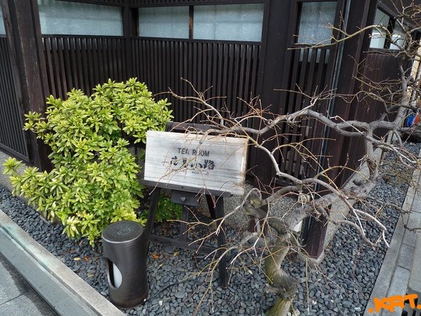 花3.jpg