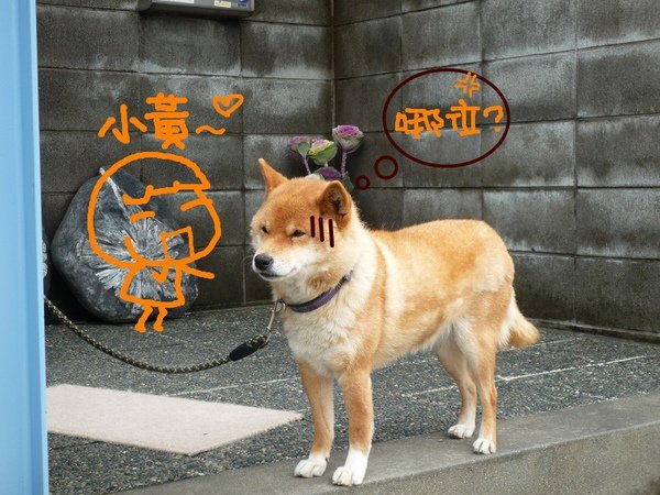哲學3.jpg