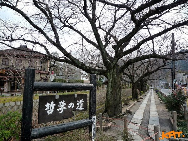 首頁.jpg