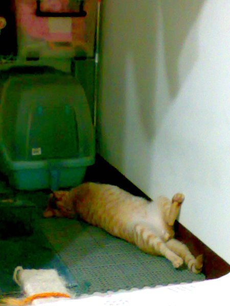 20090614279.jpg