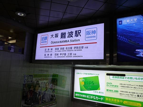 P1100490.JPG