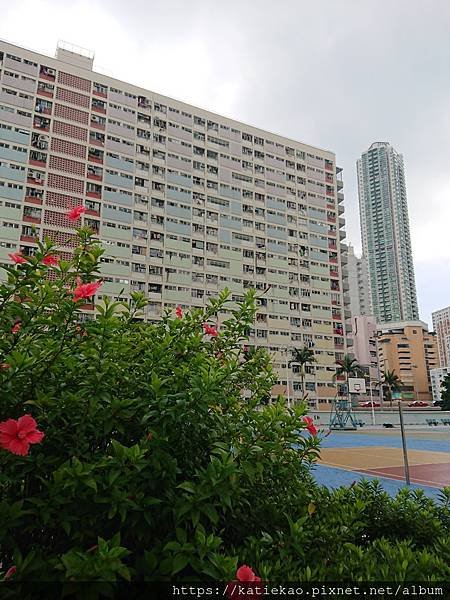 DSC_5624.JPG