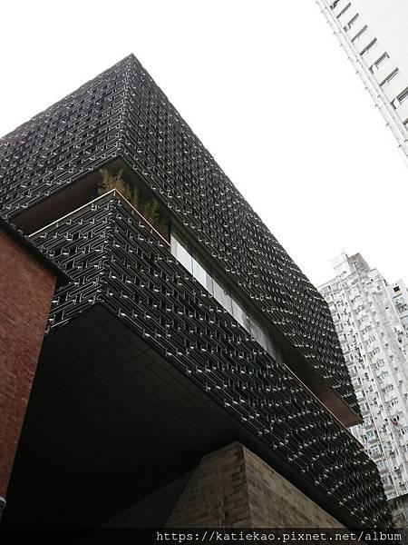 DSC_5923.JPG
